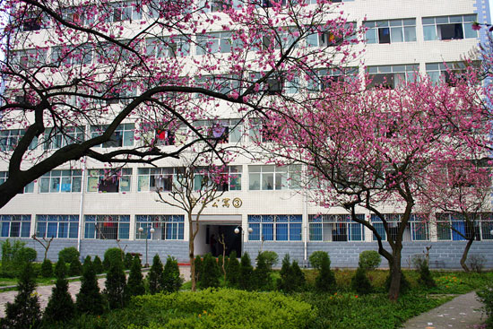 重庆市春晖人文技工学校招生条件、招生对象、招生分数