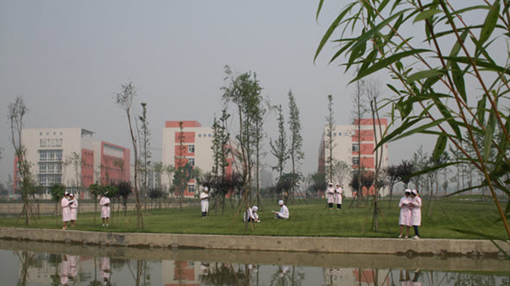 南充卫生学校有哪些专业