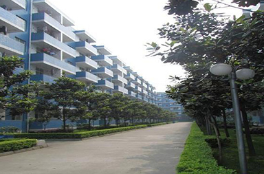 四川凉山卫生学校有哪些专业