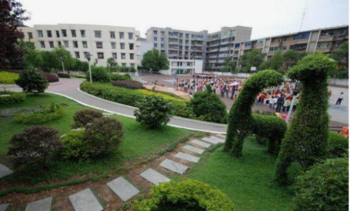 2019石家庄卫生学校录取分数