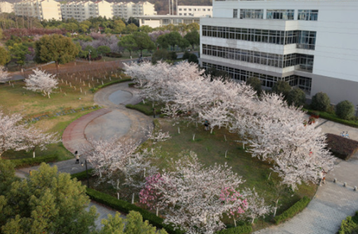 南京中医药大学招生、招生对象
