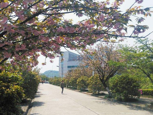 重庆市护士学校有哪些专业、专业课程介绍
