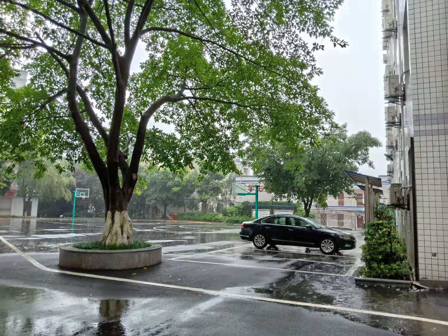 重庆女子学校,沙坪坝女子学校(沙坪坝光华女子学校学费)