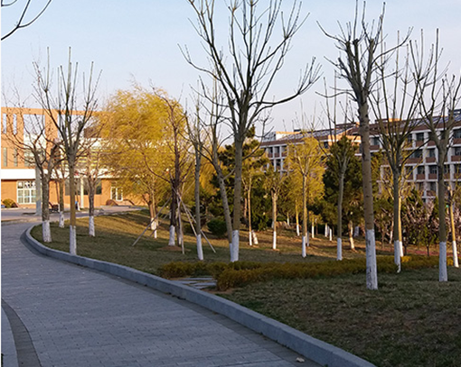 江西2020年卫校可以学什么