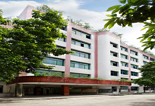 重庆南丁卫生学校地址在哪里