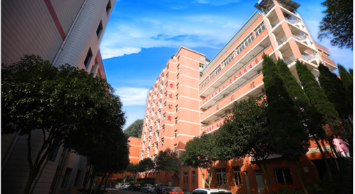 重庆沙坪坝好的卫校