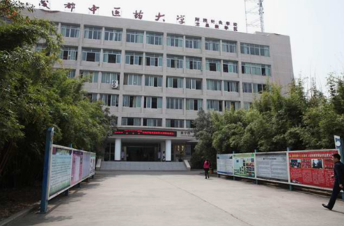 成都中医药大学附属医院针灸学校怎么坐车