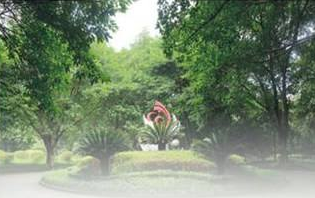 重庆知行卫生学校