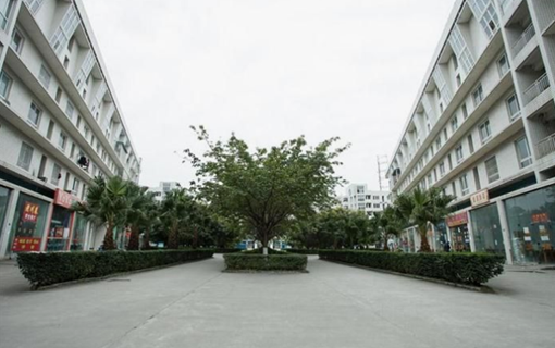 华西卫校天府校区环境图片