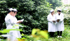 重庆市永川民进学校