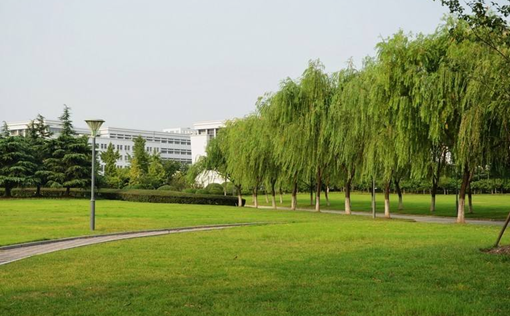 重庆沙坪坝公办卫校有哪些、哪些卫校好