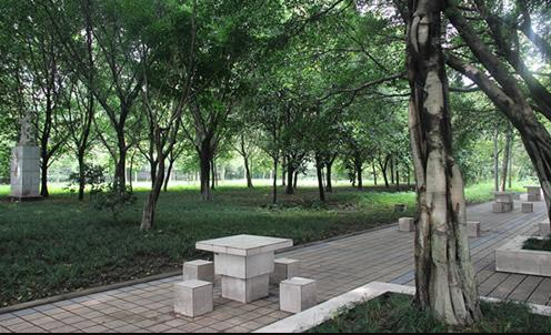 重庆知行卫生学校环境图片 重庆知行卫生学校环境图片