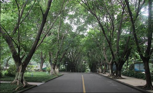 重庆知行卫生学校环境图片 重庆知行卫生学校环境图片
