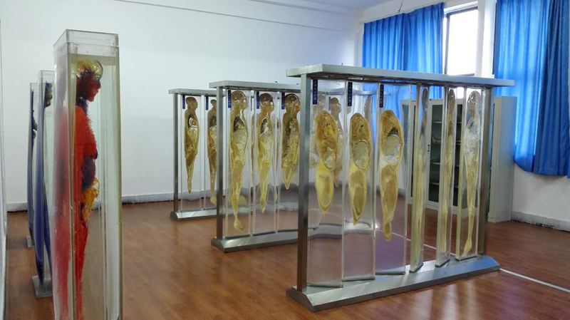 重庆知行卫生学校环境图片 重庆知行卫生学校环境图片