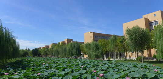 学校环境