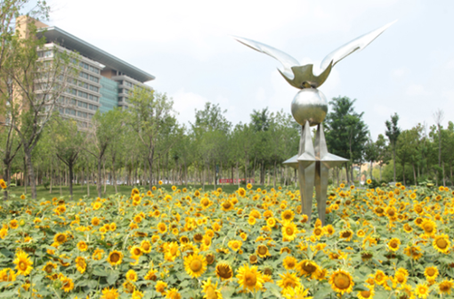 江西2020年读卫校需要什么