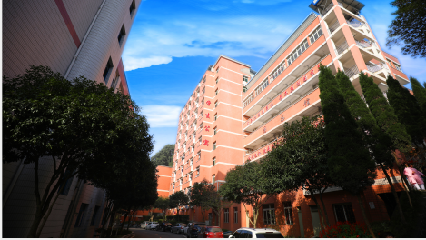 重庆南丁卫生职业学校