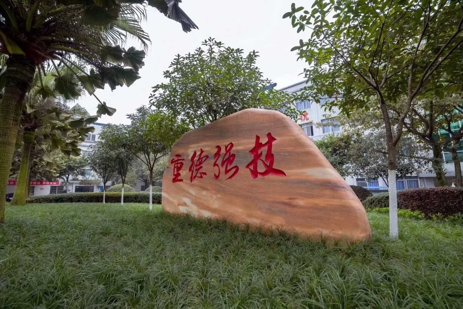 校园一角