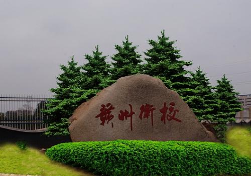 江西省赣州卫生学校是公办的吗