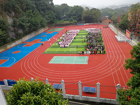 南丁 (10).jpg