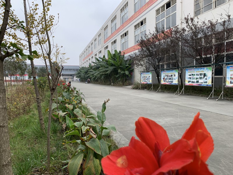 成都青华职业学校