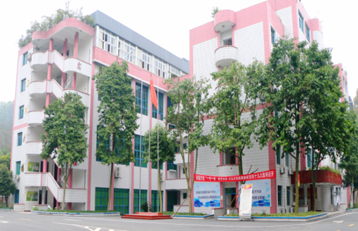 重庆南丁卫校地址